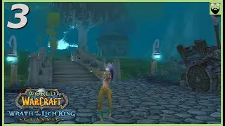 Let's Play WoW Wrath of the Lich King Classic - Blood Elf Hunter Pt 3 - ICC LFD Hype Chill Gameplay