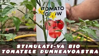 Stimulator de legare și rodire bio pentru Tomate