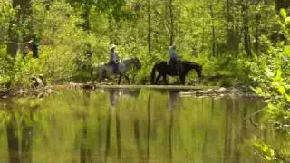 Equitrekking Travel Marriott Ranch Vacation