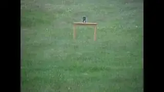 Remington Npss, LongRange Hit from 55 Yards    (.177)