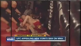 Illegal Mixed Martial Arts Event Planned in NYC