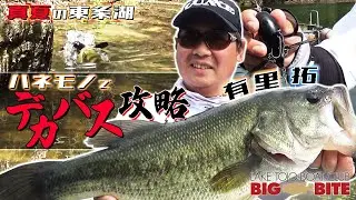 真夏の東条湖でデカバス連発！？有里拓流・ハネモノの使い方！