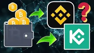 🚨Experto blockchain explica si es SEGURO holdear criptos en EXCHANGES⚠️ #bitcoin #crypto #binance