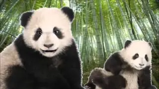 Children's Books read aloud -  It's Fun to Be a Panda