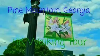 DOWNTOWN | PINE MOUNTAIN GEORGIA | WALKING TOUR [4K]
