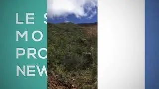 Le sentier du Mont Dore, Province Sud, New Caledonia