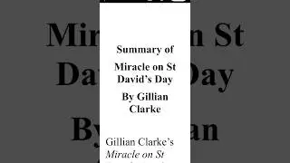 Miracle on St David's Day Summary