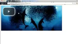 Video.js Jump Start