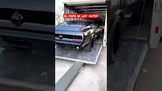 Me encantan los Mustang cl&aacute;sicos restaurados.