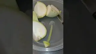 L&eacute;gumes indien Codhu famille des courges