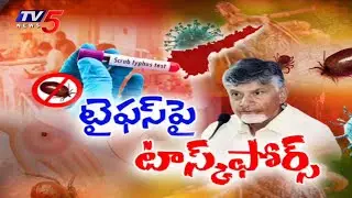 CM Chandrababu Naidu KEY Orders On Scrub Typhus Prevention In AP | TV5 News