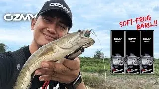 MANCING IKAN HARUAN @ GABUS GUNA KATAK OZMY