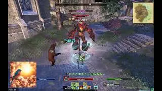 Allround Stamina Warden 120k+ U44 (set and forget / mobile fights / with sundering banner)