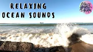 Atlantic Ocean ASMR Ambience Sounds - Patagonia Soundscape