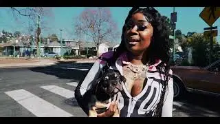 Jb Junebabi x Cavallii - They Be Trickin || Dir. Jbshotit & Cashinfast