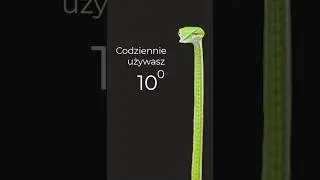 Świat nie działa bez 10 do zerowej.