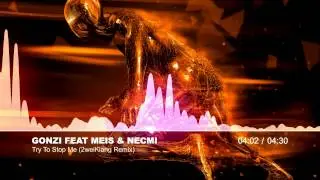 Gonzi Feat Meis & Necmi - Try To Stop Me (2weiKlang Remix)