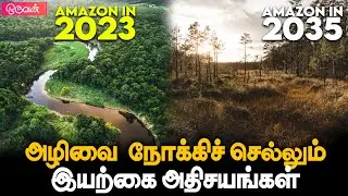 😟SAD : அழிவை நோக்கி பயணித்துக் கொண்டிருக்கும் இயற்கை அதிசயங்கள்! - Natural Wonders | Extinction