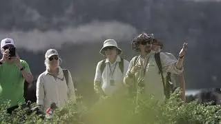 RAW Marine Iguanas at Fernandina Island narrated by Expedition staff Paul Narvaez