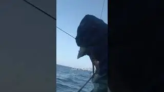 Catching a 500 Pound Fish (part 1)