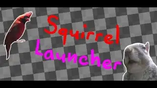 Squirrel Launcher