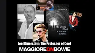 The Professor of Cool: Joel Dinerstein