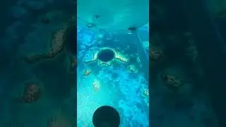 #short_video #travel #maldives #tiktok #youtube #voyage #walking #amazing #beautifulplaces