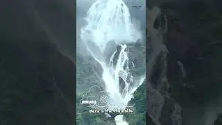 Dudhsagar Waterfall Trek - Complete Vlog Streaming Now🥰 #dudhsagarfalls #trekking #monsoon