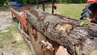 Metal frame Timberking Foley belsaw in action (cherry log)