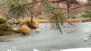 [4k] Winter rain sounds on melting snow. Relaxation, sleep quickly, meditation.