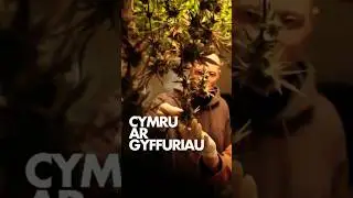 &ldquo;What is a Cannabis Club?