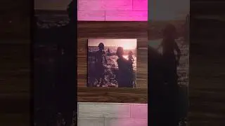 Linkin park Выкладываю свою коллекцию виниловых пластинок 😍 подпишись #vinyl #винил #коллекция