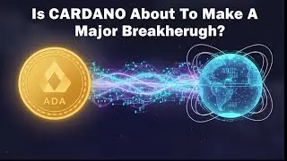 Is Cardano About To Explode Or Crash?