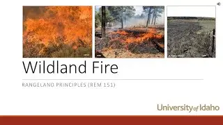Wildland Fire on Rangelands