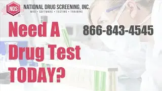 Drug Screening Test US Locations | Same Day Drug Test