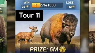 Hunting sniper tour 11 very different animals combination round😮🔥💥💣#games #youtubeshorts #subscribe