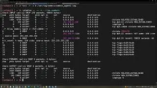 Создание RPM-пакета для Zabbix Agent 2 &mdash; Microsoft Azure Linux 3.0