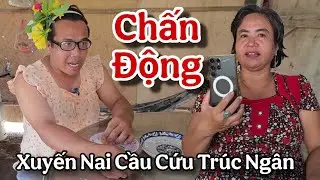 CHẤN ĐỘNG...Xuyến Nai Cầu Cứu Trúc Ngân Gấp