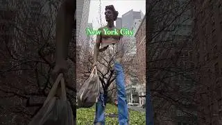 Magical New York City: Beauty That Will Leave You Speechless #newyorkcity #usa