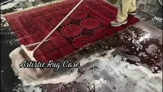 Professional rug cleaning in Wichita, Kansas!