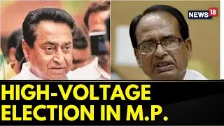 Madhya Pradesh Election 2023 | Madhya Pradesh Get A Grasp Of Poll Pulse From The Stat | English News