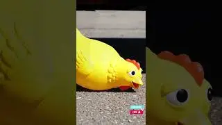 The LOUDEST Scream! 🐔🔊 Car vs. Chicken