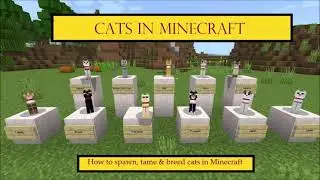 Minecraft Cats - a guide on spawning, taming and breeding them.
