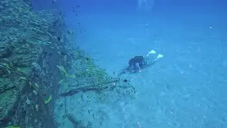 Diving Coin de Mire with Ocean Spirit in Mauritius