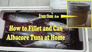 How to fillet and can tuna at home with pressure cooker