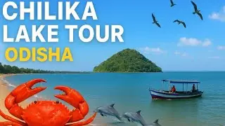 Chilika Lake tour | Dolphin Island | Asia's biggest