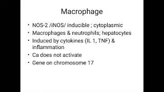 Amino acid metabolism - Nitric Oxide (NO)