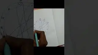 why 6? #shortsfeed #viral #subscribe #shortvideo