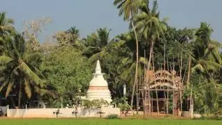Talalla Yoga Retreat Sri Lanka