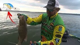 Run and Gun with a Crankbait